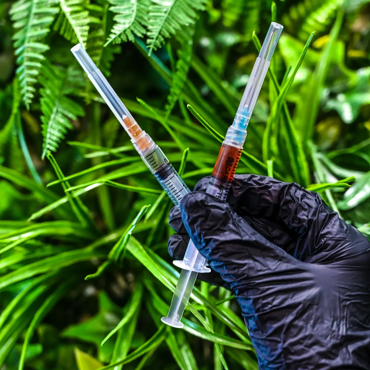 Prepared vitamin B12 injection syringes