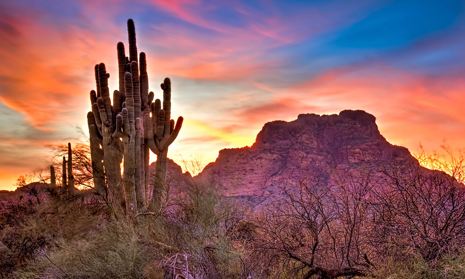 Spectacular sunset with iconic saguaro cacti, capturing the serene ambiance and local essence of Moon Valley Med Spa in Phoenix.